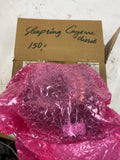 Porsche cayenne - sleepring